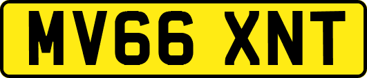 MV66XNT