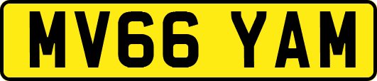 MV66YAM
