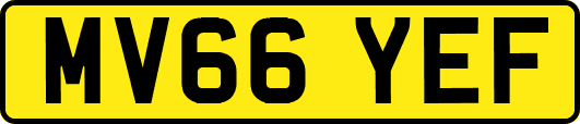 MV66YEF