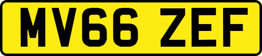 MV66ZEF