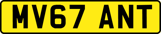 MV67ANT