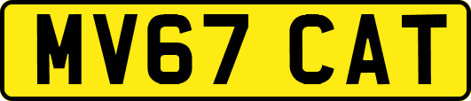 MV67CAT