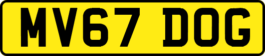 MV67DOG