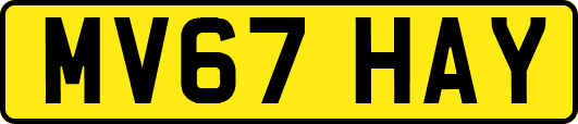 MV67HAY