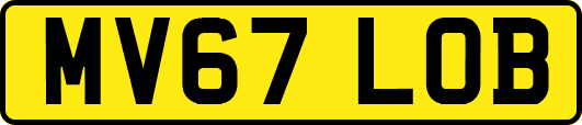 MV67LOB
