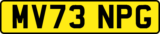MV73NPG