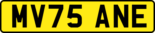 MV75ANE