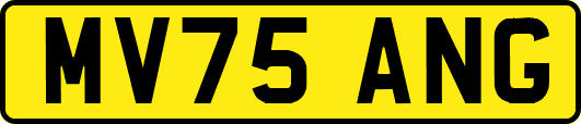 MV75ANG