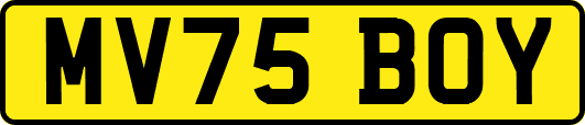 MV75BOY