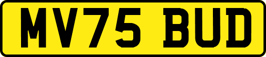 MV75BUD