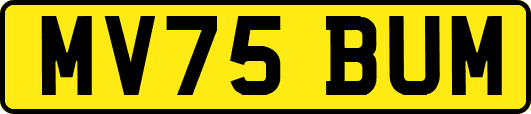 MV75BUM