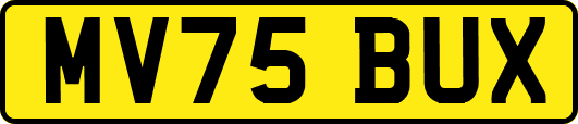 MV75BUX