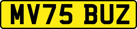 MV75BUZ