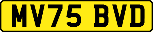 MV75BVD