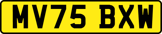 MV75BXW