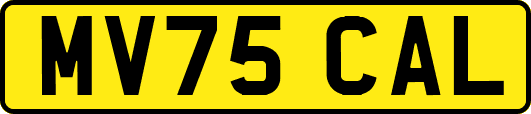 MV75CAL