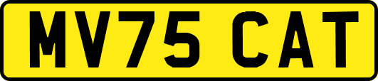 MV75CAT