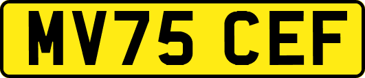 MV75CEF
