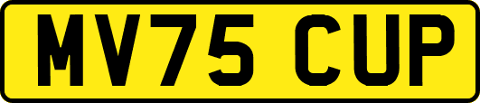 MV75CUP