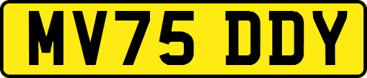 MV75DDY