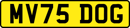 MV75DOG