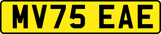MV75EAE