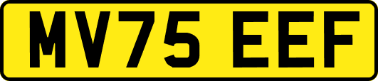 MV75EEF