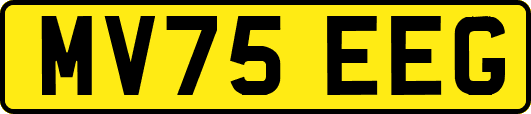 MV75EEG