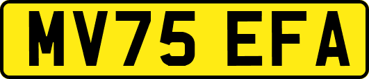 MV75EFA
