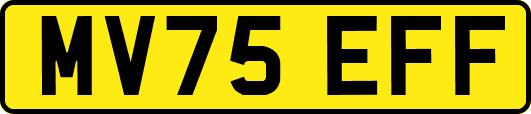 MV75EFF