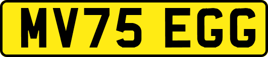 MV75EGG