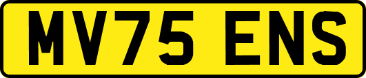 MV75ENS