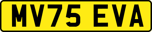 MV75EVA
