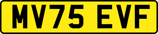 MV75EVF