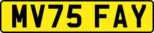 MV75FAY