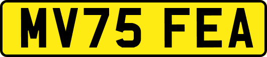 MV75FEA