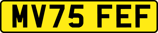 MV75FEF