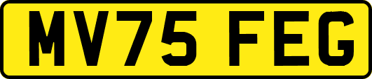 MV75FEG