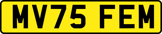 MV75FEM