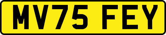 MV75FEY