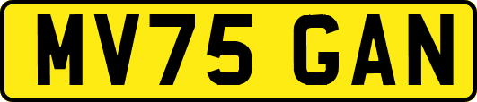 MV75GAN