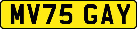 MV75GAY