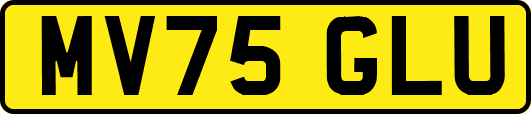 MV75GLU