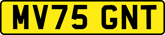 MV75GNT