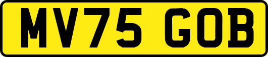 MV75GOB