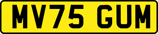 MV75GUM