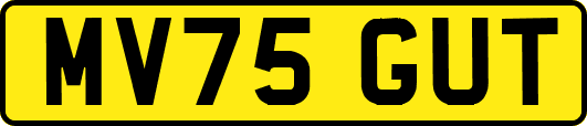 MV75GUT