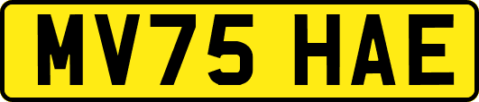 MV75HAE