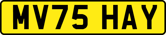 MV75HAY