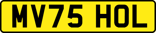 MV75HOL